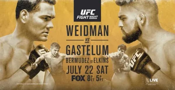 MMA article image