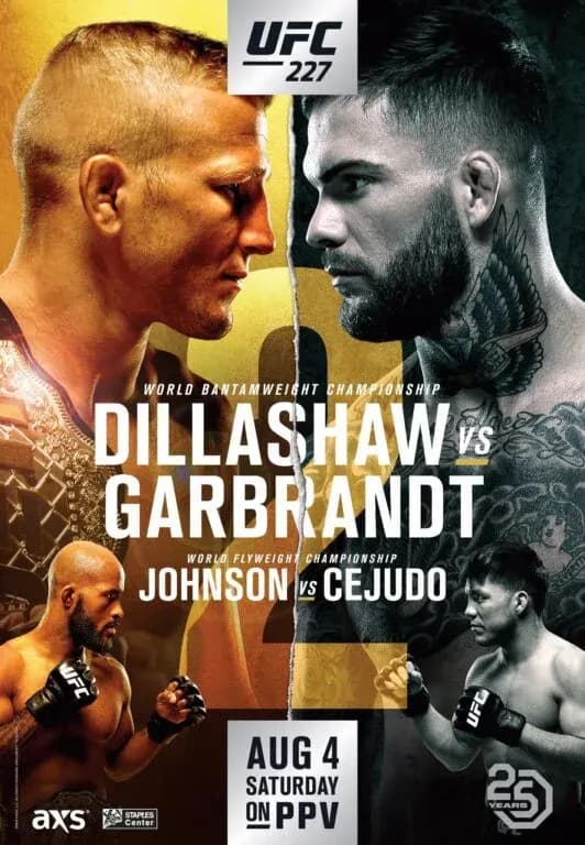 MMA article image