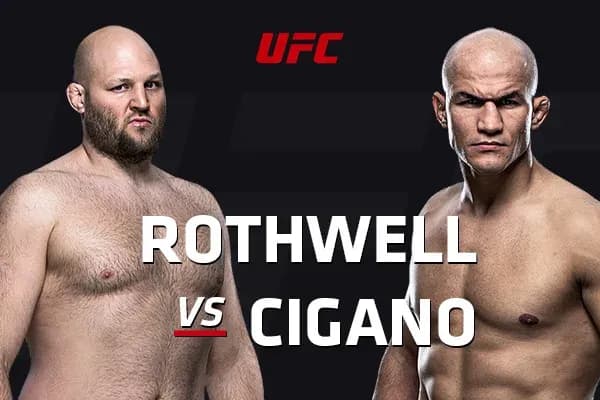 MMA article image