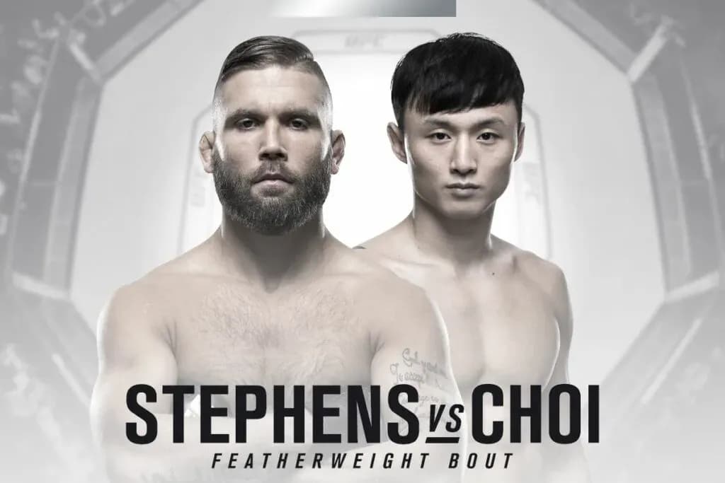 MMA article image