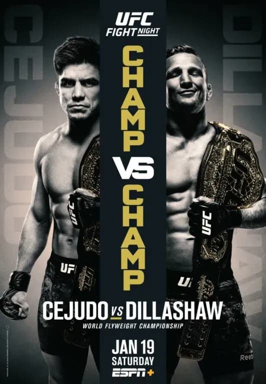 MMA article image