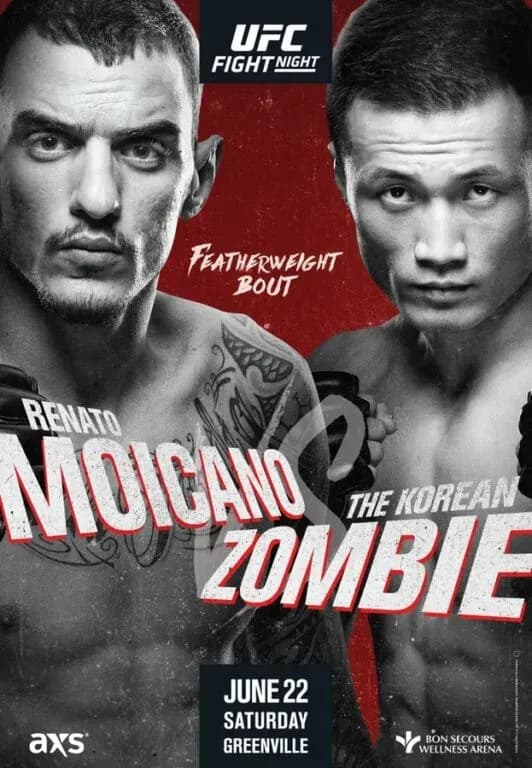 MMA article image