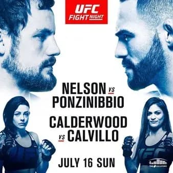 MMA article image