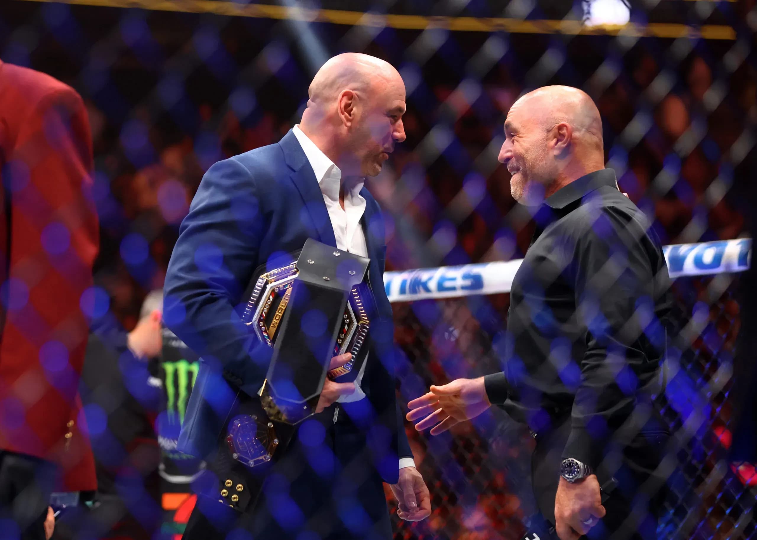 MMA article image