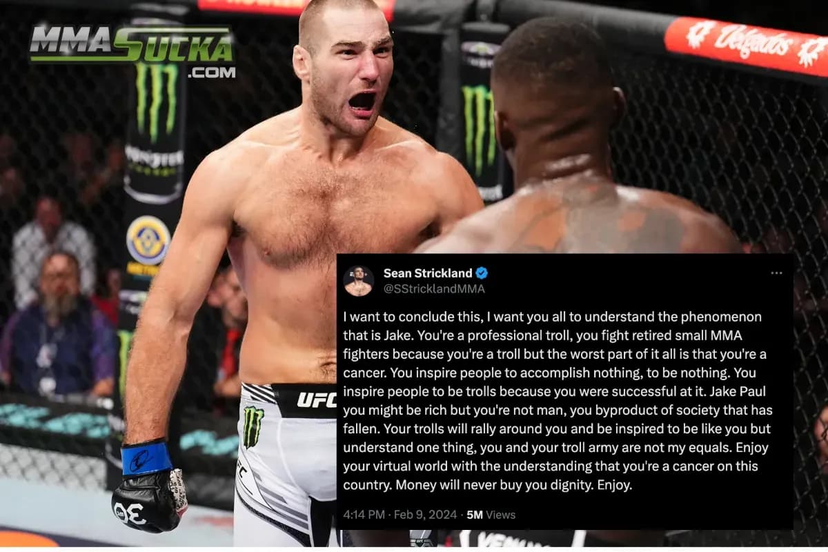 MMA article image