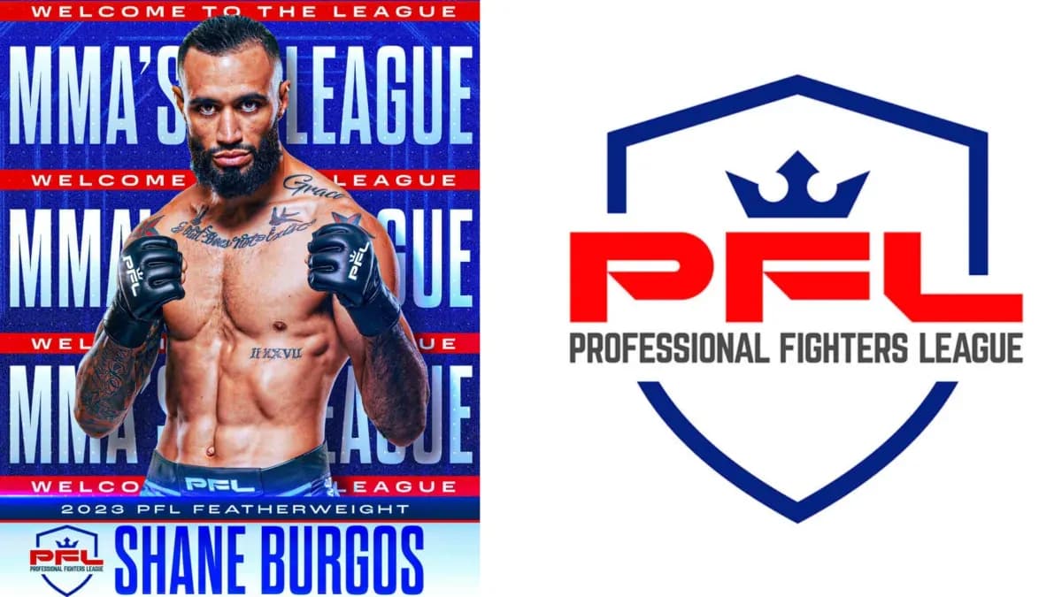 MMA article image