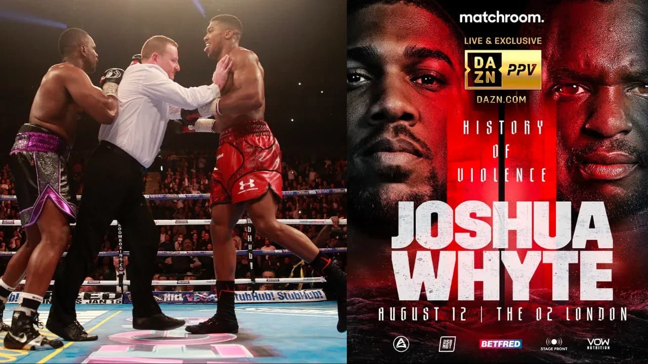 MMA article image