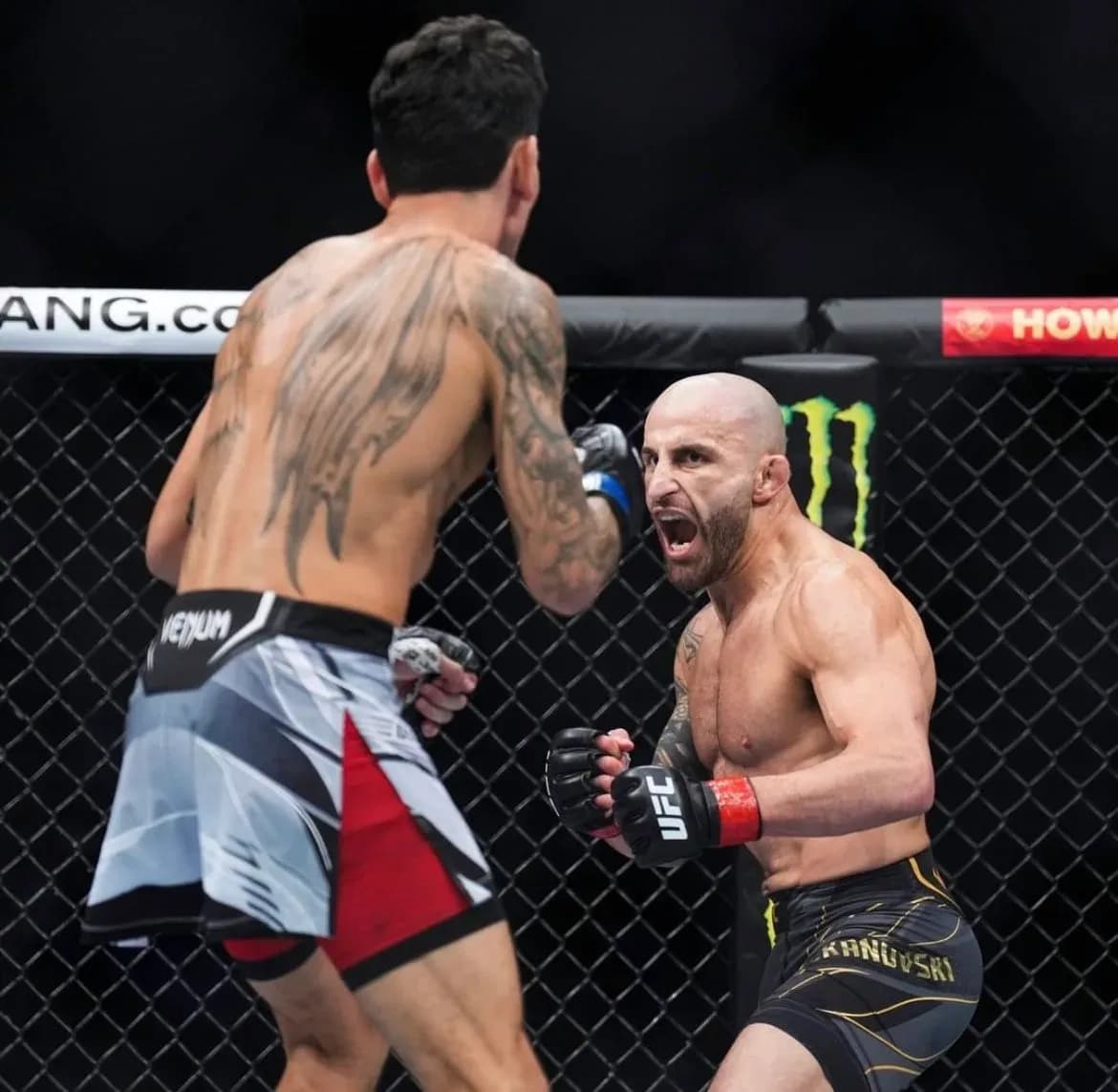 Alexander Volkanovski