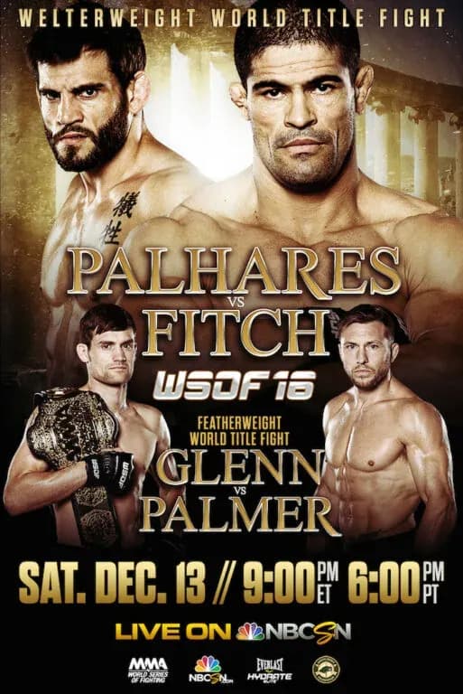 MMA article image