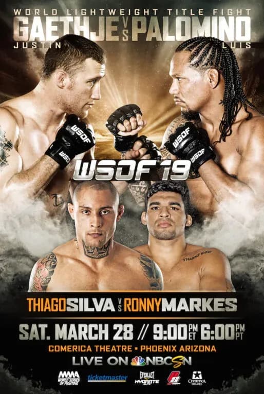 MMA article image