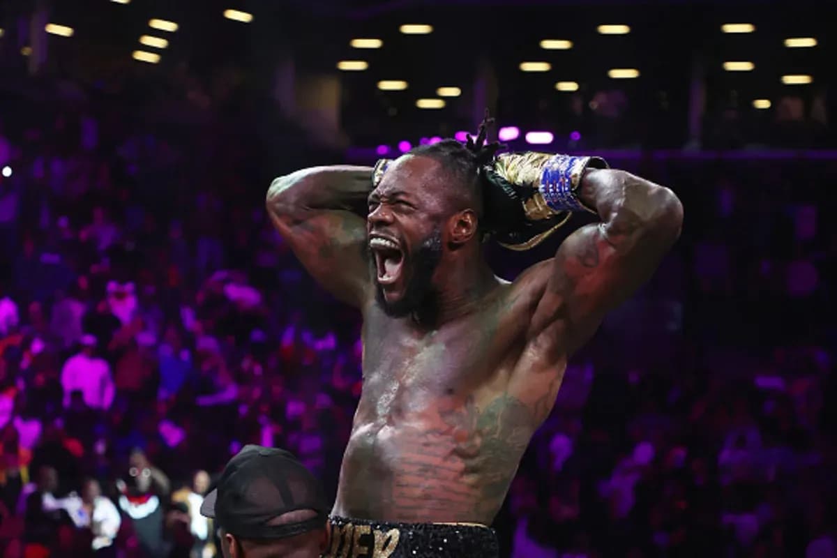 MMA article image