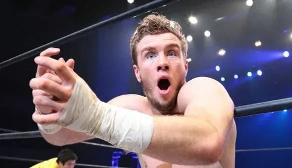 MMA article image
