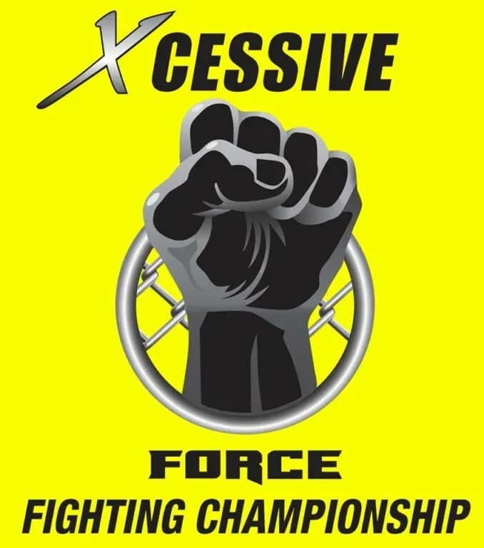 MMA article image