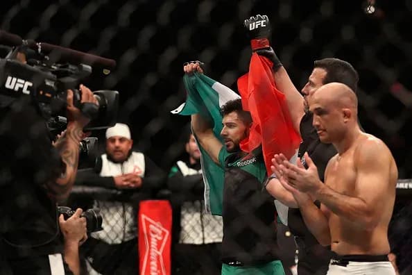 MMA article image