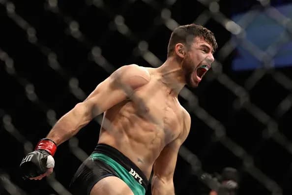 MMA article image
