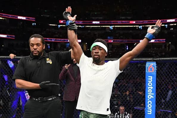 MMA article image