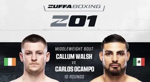 MMA article image