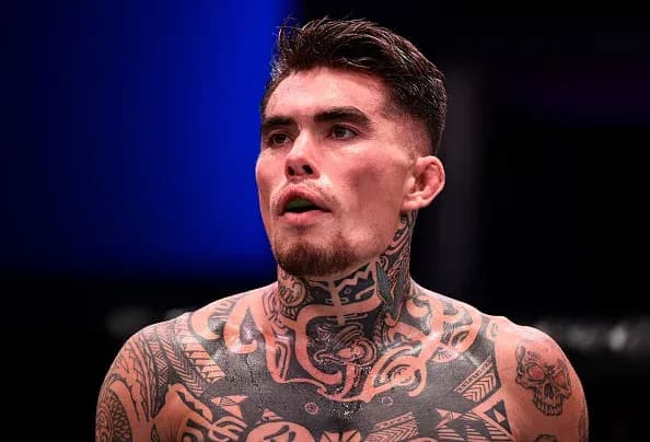 MMA article image