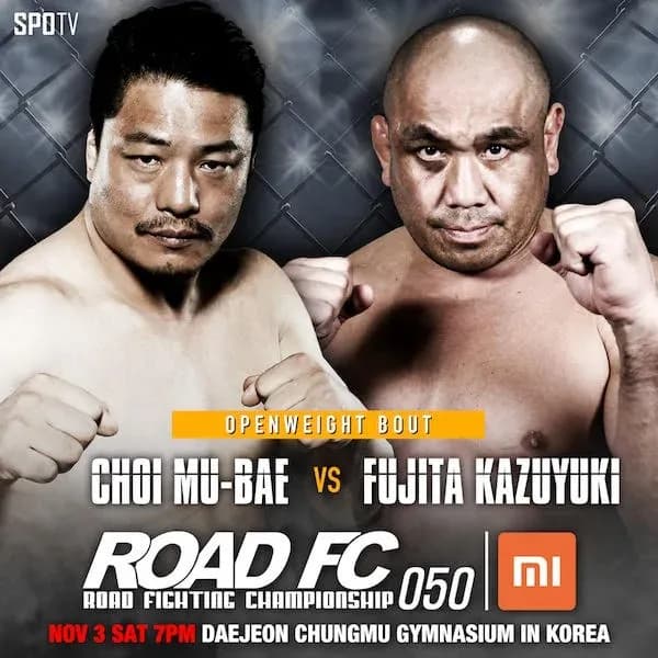 MMA article image