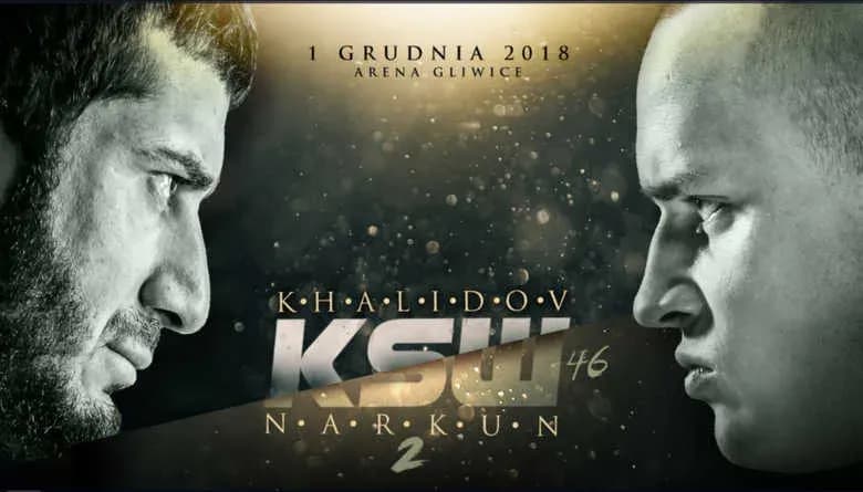 MMA article image