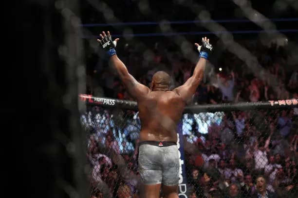 MMA article image