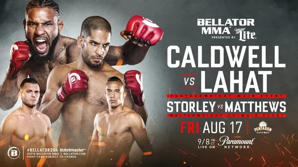 MMA article image