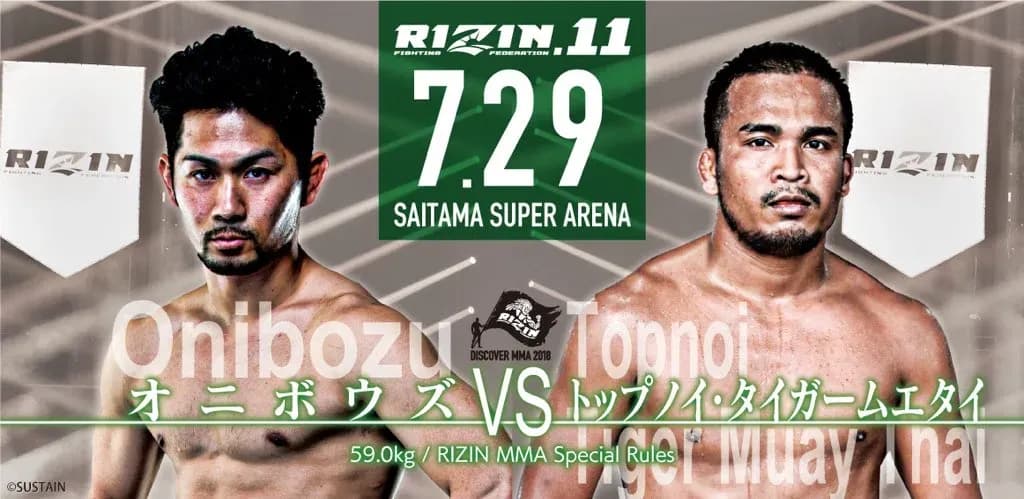 MMA article image