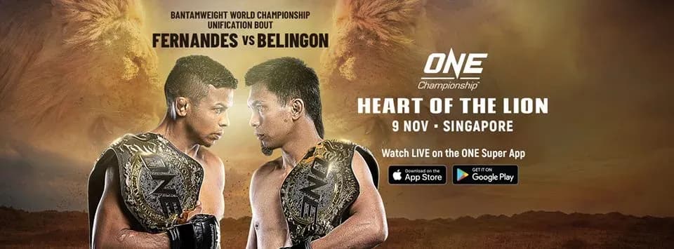 MMA article image