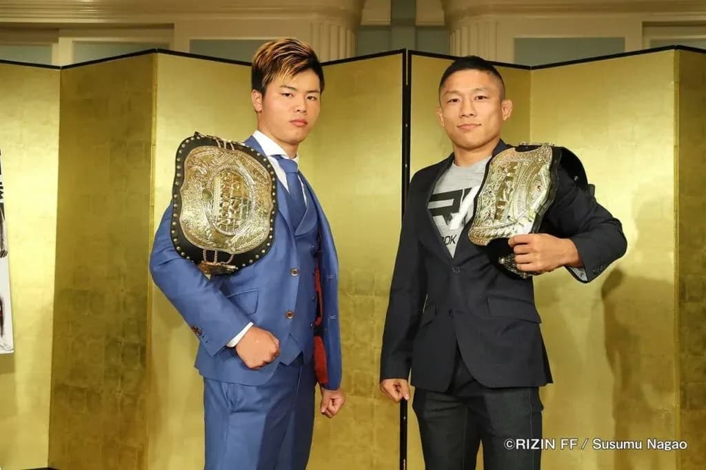 MMA article image