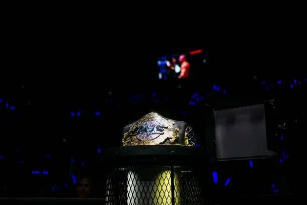 MMA article image