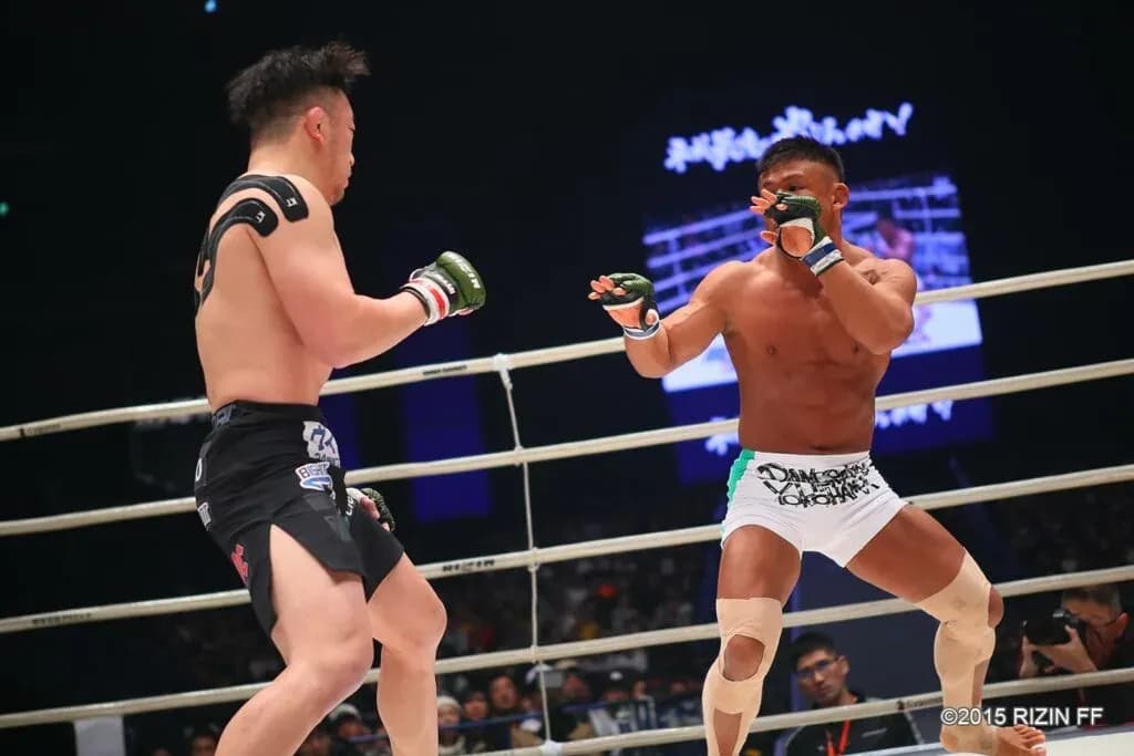 MMA article image