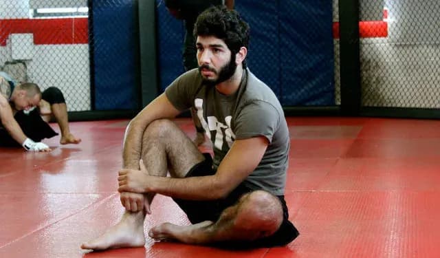 MMA article image