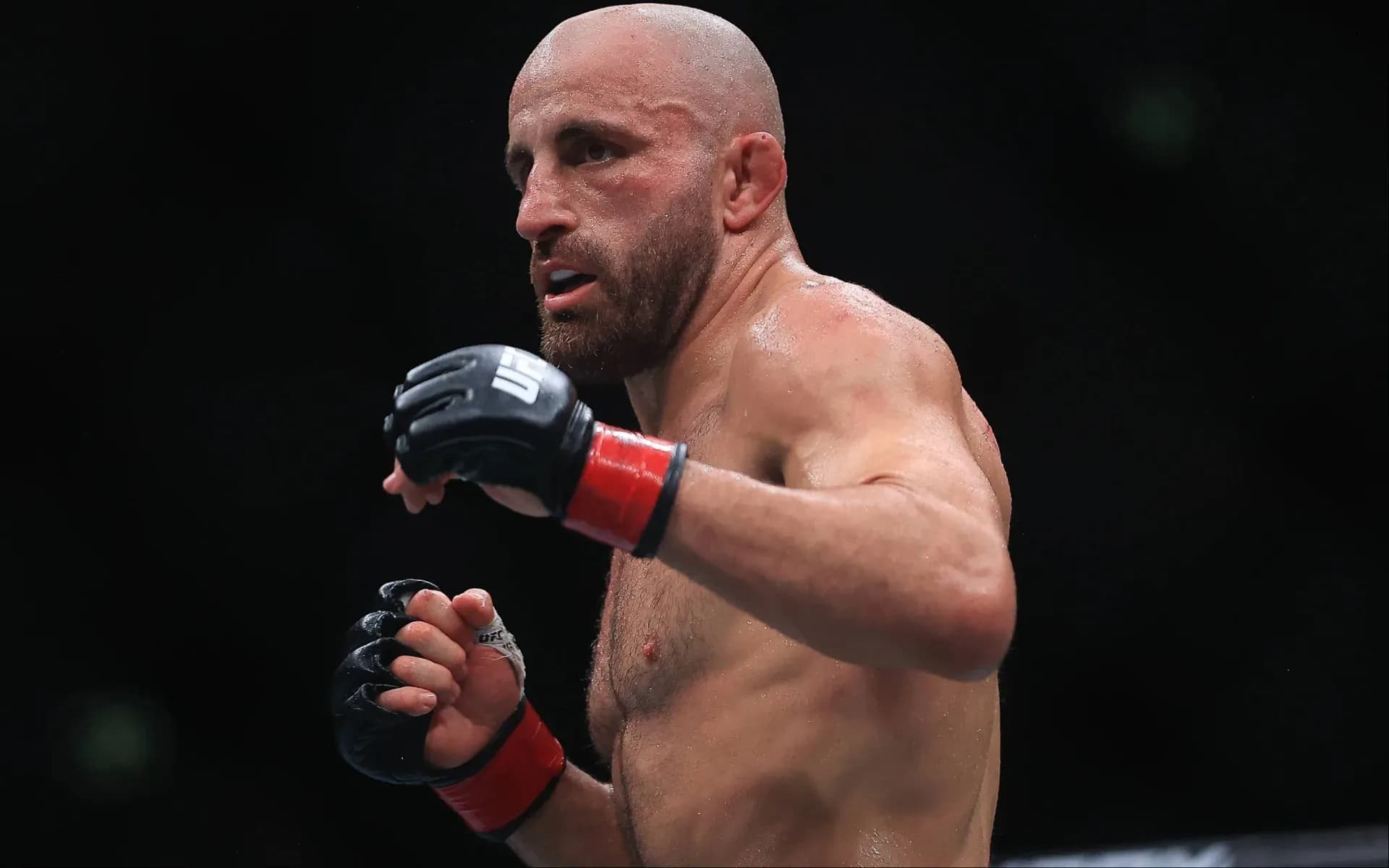 alexander-volkanovski