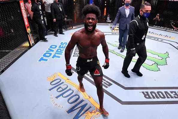 MMA article image