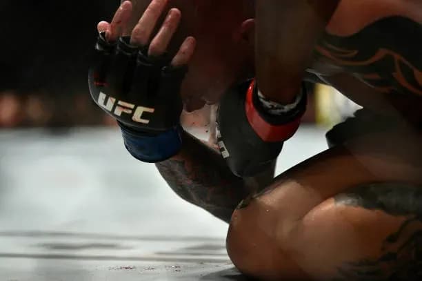 UFC 235