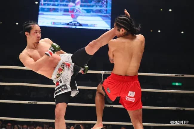 MMA article image