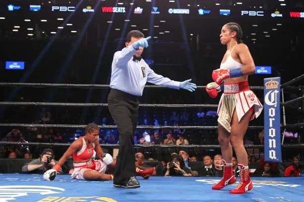 MMA article image