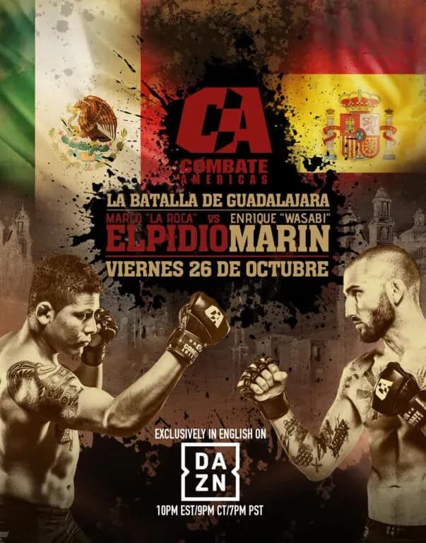 MMA article image
