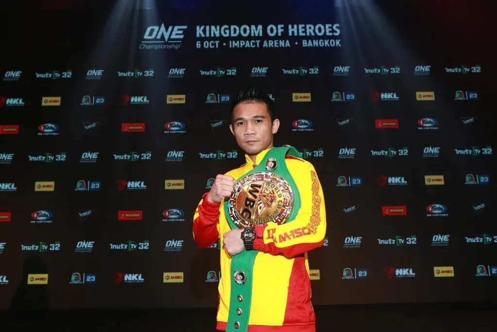 MMA article image