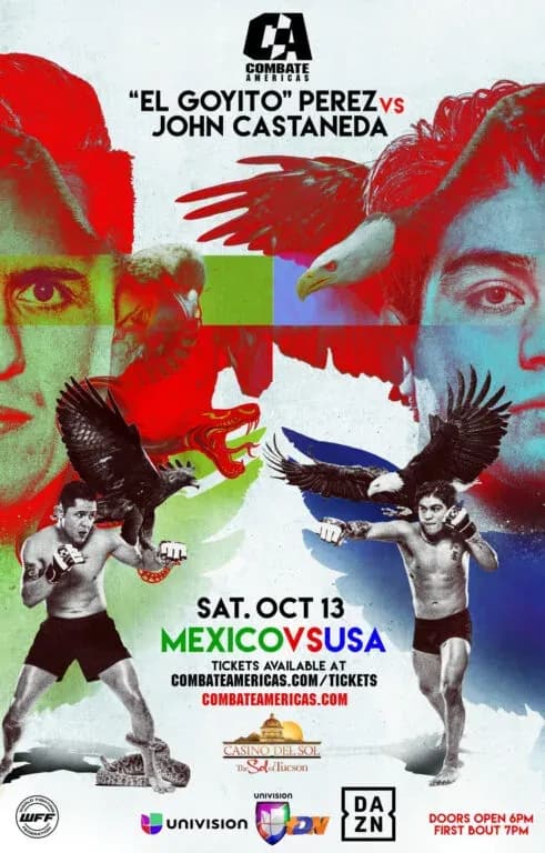 MMA article image