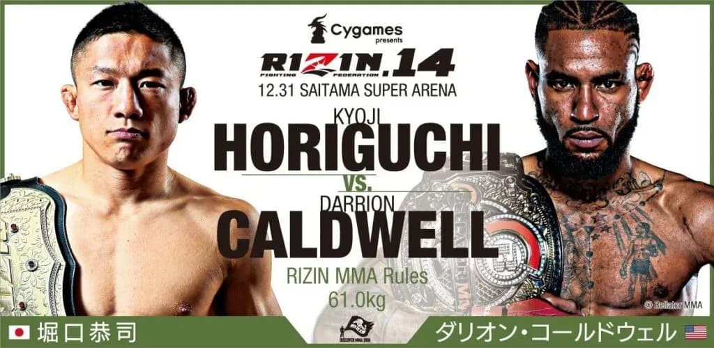 MMA article image