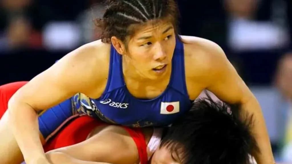 MMA article image