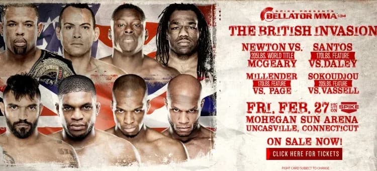 MMA article image