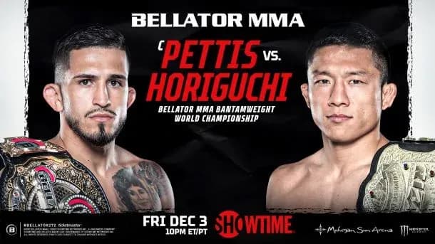 MMA article image
