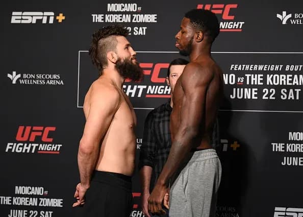 MMA article image