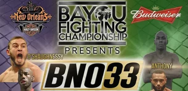 Battle of New Orleans 33