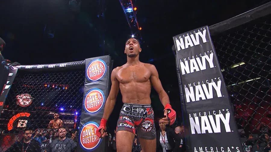 MMA article image