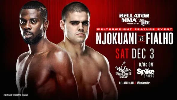 MMA article image