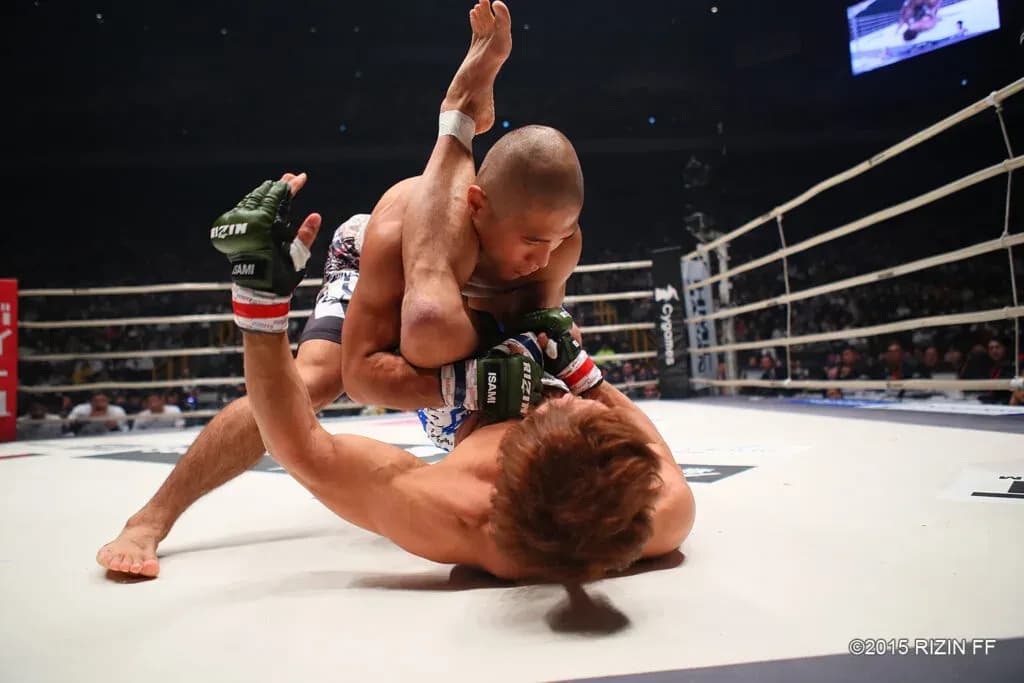 MMA article image