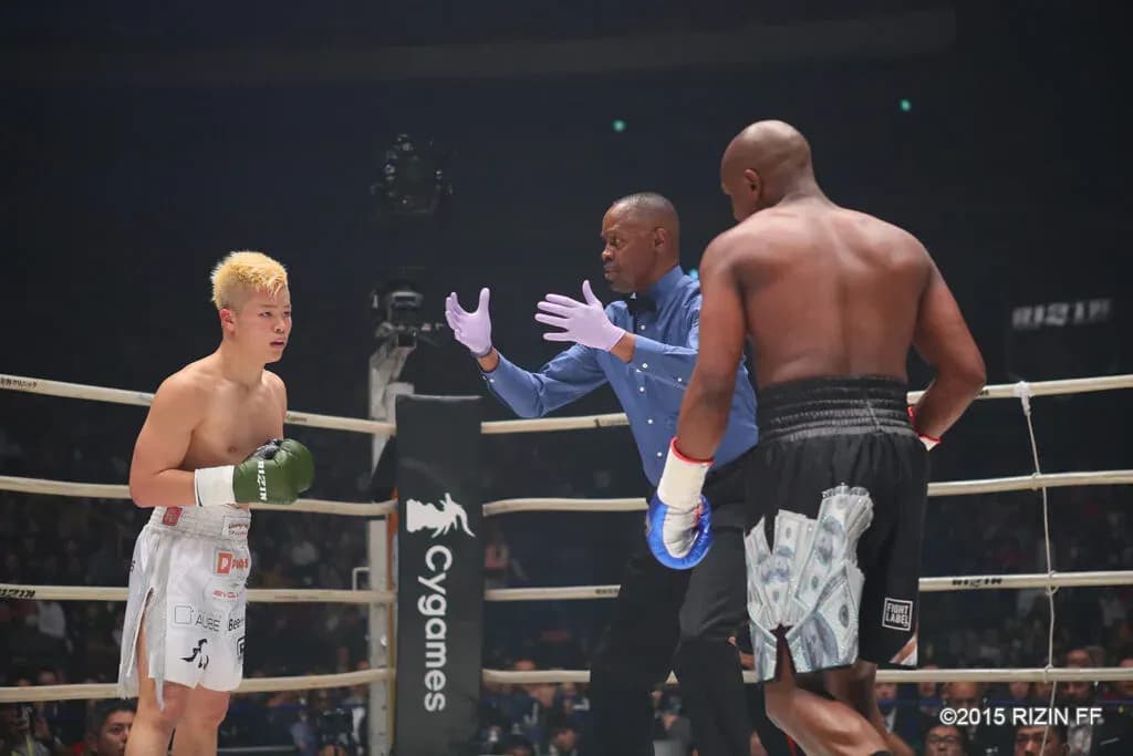 MMA article image